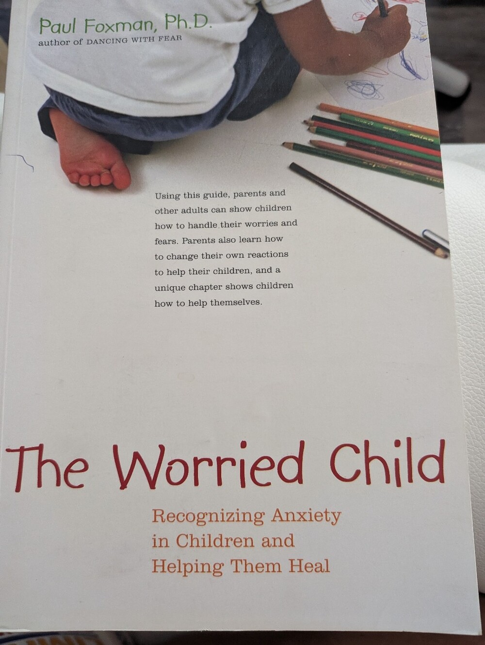 The Worried Child: Recognizing Anxiety in Children and Helping Them Heal Book